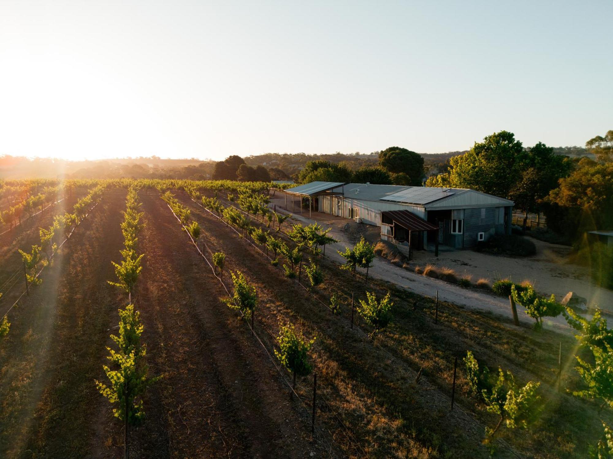 Bed In A Shed Vineyard Stay Watervale Ngoại thất bức ảnh